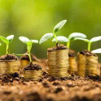 نیازمند سرمایه تا 200 میلیون