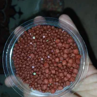 فروش فوری غذا ماهی به قیمت عمده