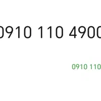 09101104900  09101105900