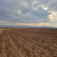 اجاره ۱.۵ هکتار زمین کشاورزی لب جاده نزدیک روستا