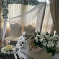 بادکنک آرایی 550 تومن|خدمات پذیرایی، مراسم|قزوین, |دیوار