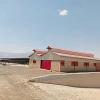 گاوداری صنعتی و زمین کشاورزی|فروش دفتر صنعتی، کشاورزی، تجاری|شیروان (لرستان), |دیوار