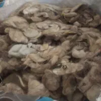 پشم گوسفندی تعمیز