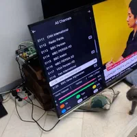 نصب انتن وانتن مرکزی تعمیر دستگاه دجیتال و فورکی|خدمات پیشه و مهارت|گلبهار, شهر جدید گلبهار|دیوار