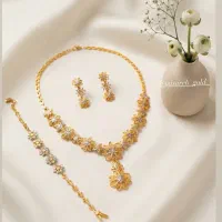 سرویس نو‌بدون اجرت