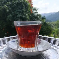 چای محلی بهاره