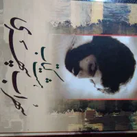 هشت کتاب سهراب سپهری