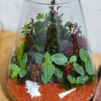 تراریوم تک|گل و گیاه طبیعی|تهران, مشیریه|دیوار