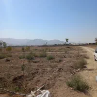 فوریباغبادرخت،ابیاریقطره ای|فروش دفتر صنعتی، کشاورزی، تجاری|اراک, |دیوار