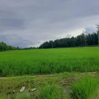 فروش زمین ۷.۶ هکتار با ۵۰۰ متر بر