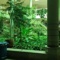 دنبال کار هستم