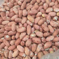 بادام زمینی درجه یک ۳۳۰و درجه دو ۲۶۰|خوردنی و آشامیدنی|اسلامشهر, مظفریه|دیوار