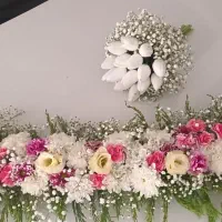 ماشین عروس|خدمات پذیرایی، مراسم|مشهد, شهرک رازی (شهرک غرب)|دیوار