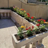نیاز به دندانپزشک با پروانه ملارد