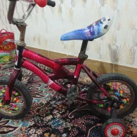 دوچرخه 12سالم|دوچرخه، اسکیت، اسکوتر|مشهد, کشف|دیوار