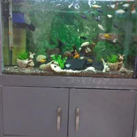 آکواریوم به همراه میز و لوازم