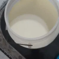 شیرمحلی گاو تازه هرروزمیدوشم