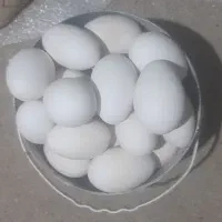 تخم برگشتی و بدون نطفه غاز فروشی