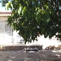 اجاره روزانه  ویلا سویت منزل|اجارهٔ کوتاه‌مدت آپارتمان و سوئیت|سامان, |دیوار