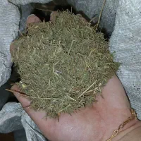 آویشن باریک کوهی