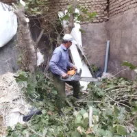 قطع و هرس اصولی درختان با اره برقی|خدمات باغبانی و درختکاری|نیشابور, فیض آباد|دیوار