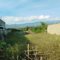 300متر زمین مسکونی باویلای مخروبه تالش|فروش خانه و ویلا|لیسار, |دیوار