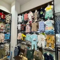 رگال ویترینی