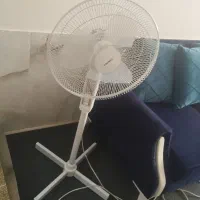 پنکه سانی