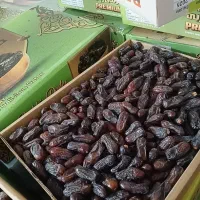 خرما ربی صادراتی