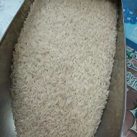 فروش برنج هاشمی