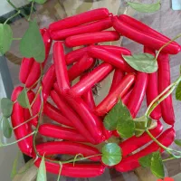 سوسیس و کالباس خانگی