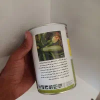 بذر کدورقم انزابهترین بذر موجود دربازار