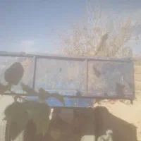 تریلی تراکتور جفت چرخ بزرگ 1020|ماشین‌آلات صنعتی|اشکذر, |دیوار