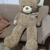 یه عدد عروسک خرس بزرگ