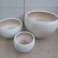 گلدان سفالی|گل و گیاه طبیعی|رشت, شهرک صبا|دیوار