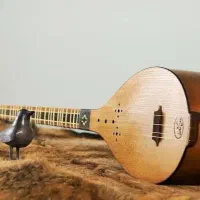 تدریس سه تار