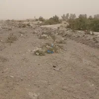 زمین کشاورزی|فروش دفتر صنعتی، کشاورزی، تجاری|زهک, |دیوار