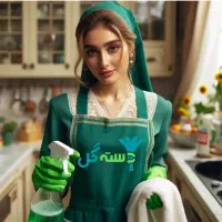 نیروی نظافتچی خانم