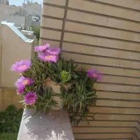 فروش خانه قدیمی در رباط سوم