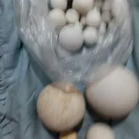 تعدادی سنگ آسیاب