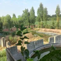 ویلا/خونه باغی/استثنایی/فروش فوری/کردکوی|فروش دفتر صنعتی، کشاورزی، تجاری|گرگان, |دیوار