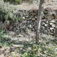 باغچه ۴۰۰ متر در روستای شهرستانک