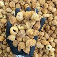 انجیردرجه یک ارگانیک