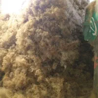 حلاجی پشم و کالای خواب آویژه