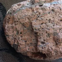 شهاب سنگ|کلکسیون اشیاء عتیقه|نجف‌آباد, شهدای غربی|دیوار