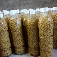 آبغوره، شیره انگور و غوره شور فروشی|خوردنی و آشامیدنی|مشهد, آبکوه|دیوار