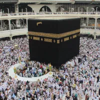 فیش حج