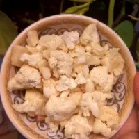 ترشی های خونگی