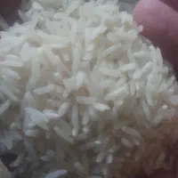 برنج طارم هاشمی