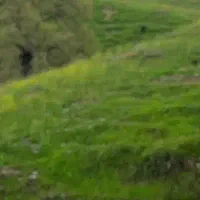 زمین کشاورزیی